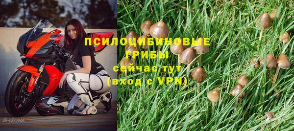 ALPHA PVP Бородино