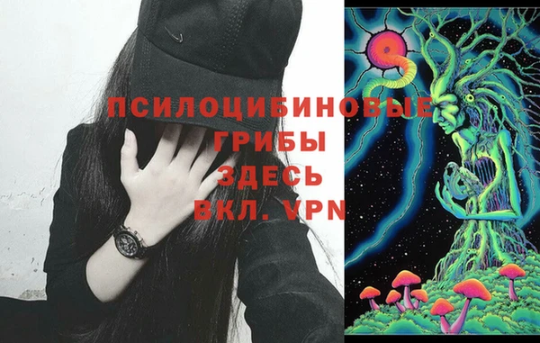 шишки Волоколамск