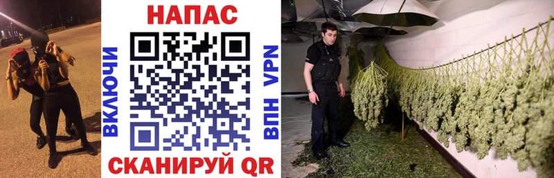 Шишки марихуана планчик  Волжск 